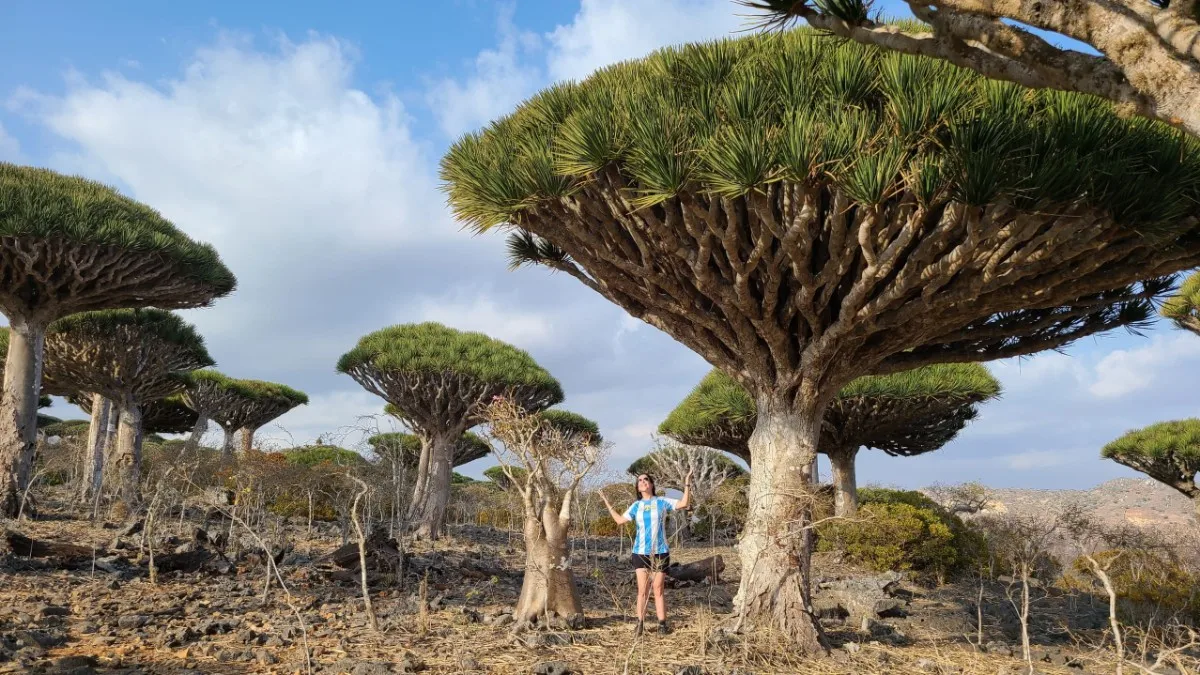 Socotra Private Tours