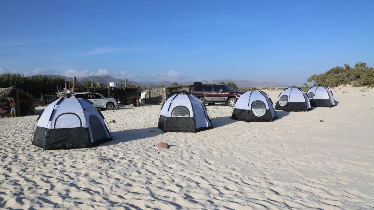 Camping near Arher Beach on a Socotra island tour