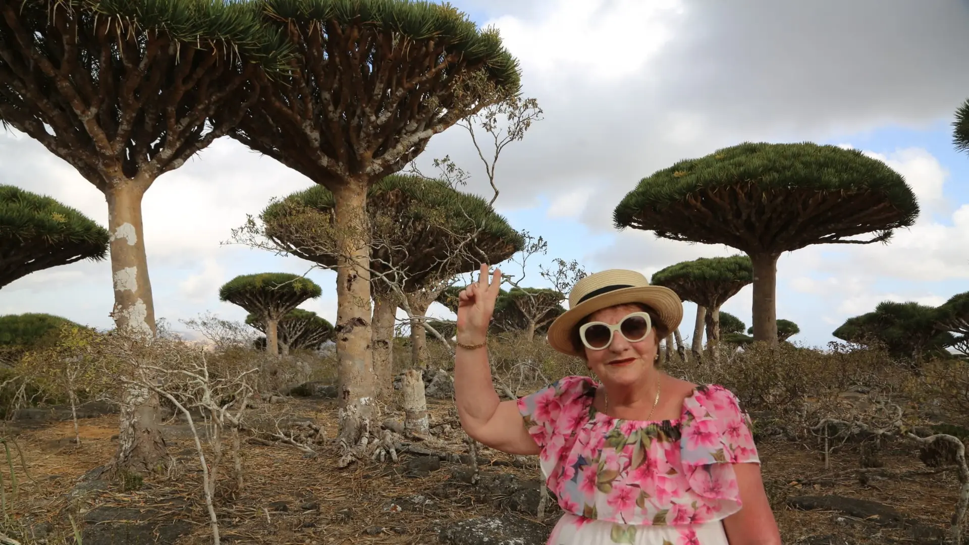 tourist posing among Dragon’s Blood trees during Socotra private camping tour in Socotra.